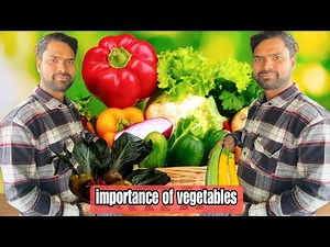 Important fresh vegetables by Harishvegetableshop