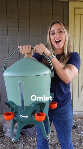 Texas weather doesn’t always get the memo that it’s November ☀️🐔 Our new Omlet Insulated Stay Clean Chicken Waterer keeps water cooler for longer in the heat and helps protect it from freezing when temps finally drop - giving you year-round peace of mind. | Omlet USA