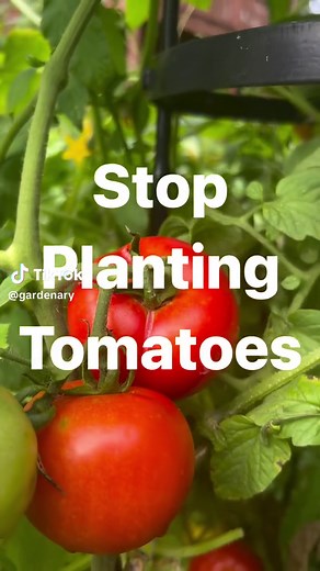 Planting Tips for a Bountiful Garden