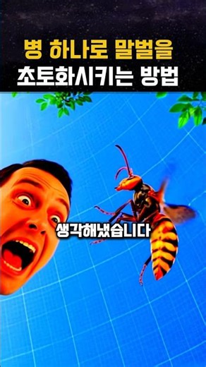 병 하나로 말벌을 초토화시키는 방법