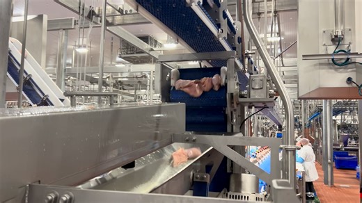 Complete Shaker Video