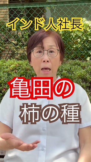 Kameda Seika Kaki no Tane