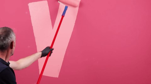 Enjoy the Simple Pleasure of Fresh Wall Painting