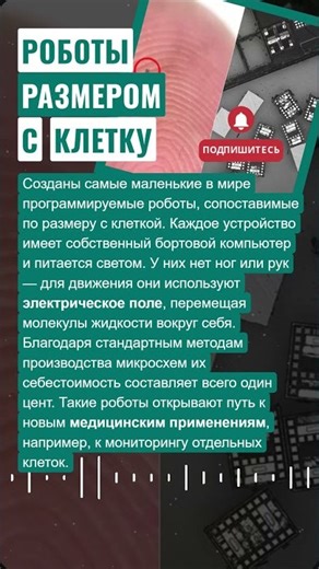 🔬 РОБОТЫ РАЗМЕРОМ С КЛЕТКУ #новости #технологии #нано #роботы