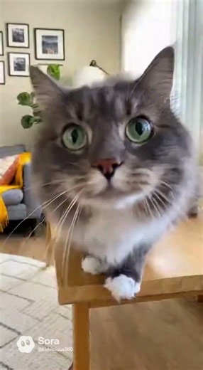 Total FAIL Compilation #fypage