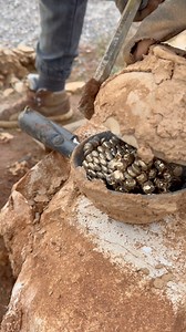 Treasure hunting #archaeology | Adventure treasures X