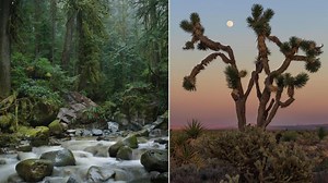 27 Stunning Photos From Landscapes And Scenes Around The World