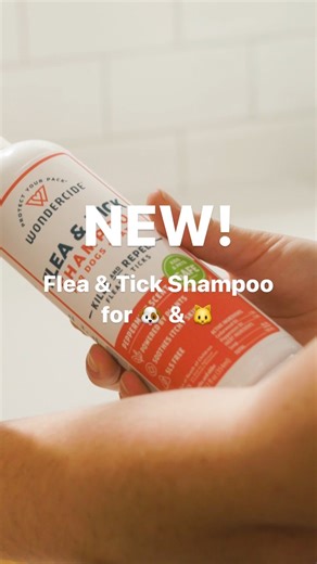 34 reactions | ✨NEW✨ and available now! This plant-powered Flea & Tick Shampoo kills and repels bugs, so add it to your pet’s prevention routine or keep a bottle handy to eliminate active infestations. Smells great too! Shop here  https://mywondercide.com/5s4 | Wondercide | Facebook
