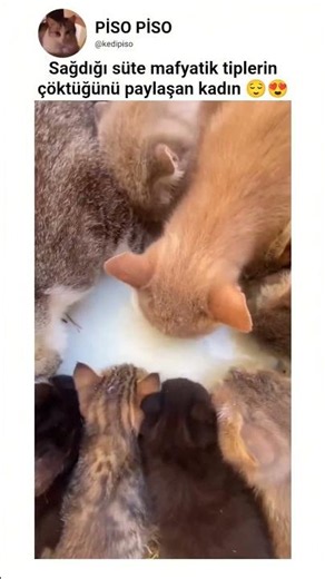 çok içirmek zararlı ama suyla karıştırıp verilmelidir