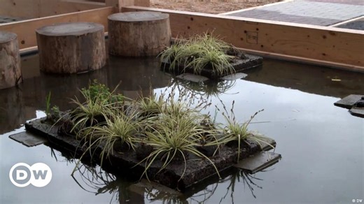 Bringing green ideas to cities