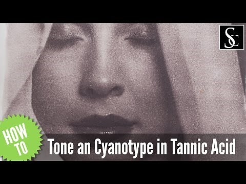How to Tone Cyanotypes With Tannic Acid