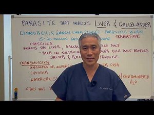 The Silent Parasite Eating Your Liver and Gallbladder Alive-Liver Flukes