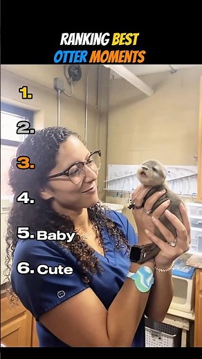 Ranking Best Otter Moments 🦦