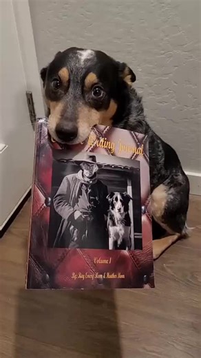 Ash found the perfect journal for storytellers who need a little push to get goin’ 📖🐾 Ready to chase some wild ideas? #AshTheBlueHeeler #BookCharacter #CreativeWriting #StoryPrompts #WritersOfTikTok