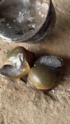 Turning Natural Shells Into Metal Masterpieces #shorts #casting #recycling #art