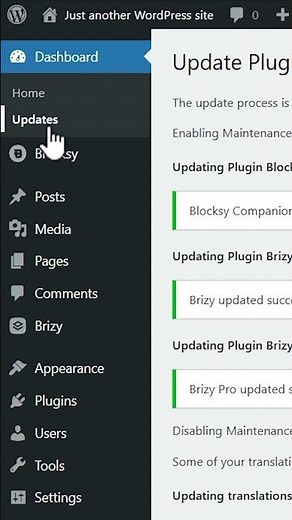 Update WordPress Plugins & Themes - keep your apps secure!