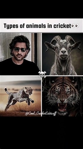 Types of animals in cricket👀|#msdhoni #viratkohli #jaspritbumrah #rohitsharma #plsgoviral