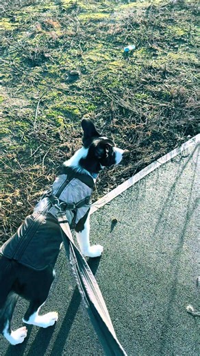 Patsy Reviews gen❌ (@patsycreative)’s videos with Love Without a Reason - Yunika Queen