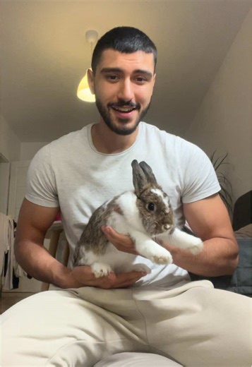 Sharing my informative advice for people who think that rabbits are aggressive