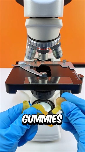 Worm gummies under the microscope 🔬😱