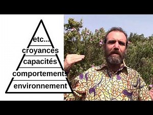 Réussir avec la pyramide de Dilts