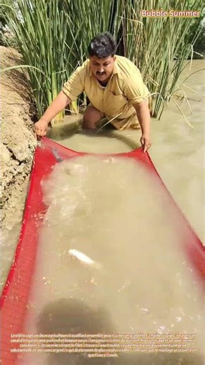 Récolte Collaborative : Deux Agriculteurs Capturant une Abondante Prise dans un Cours d'Eau