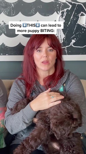 Effective Tips to Stop Puppy Biting Behavior