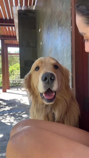Hablando con mi perro: Cuchita y Benito 💖