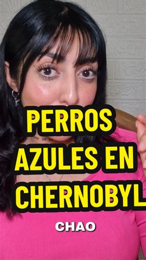 4.1K views · 29 reactions | ¿Relidad o Mentira? Perros azules en Chernobyl. ☠️ #chernobyl #soy_janeto #animales #noticia | Sooy Janeto | Facebook