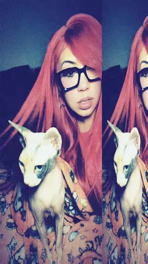 Queenie was hitting that ishhhhh ✌🏽😂 #sphynxcat