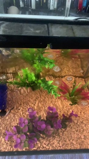 bruhhhh701 on TikTok