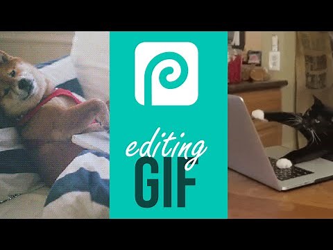 How do you edit an existing GIF in Photopea / Photoshop?