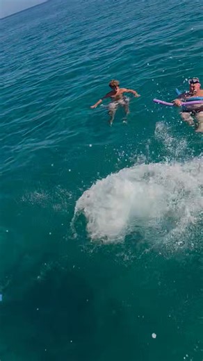 Sébastien Guyon on Reels