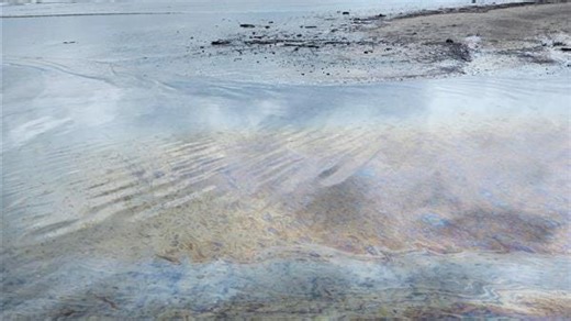Web portal launches to provide updated information on LOOP oil spill