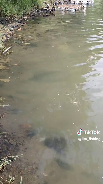 just content ✌🏼#castingfishing🎣 #fishing #trend #fyp @arfaa