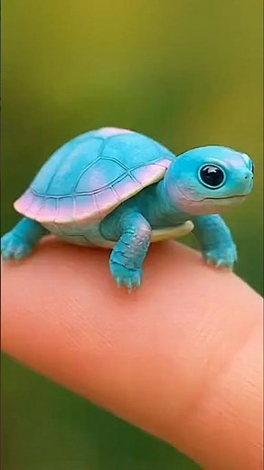 Unbelievably Cute Miniature Turtle