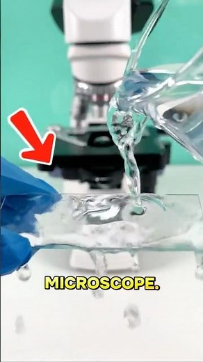 Can You Really Drink Tap Water? We Checked Under a Microscope 😳🔬