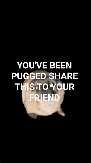 you have been pugged