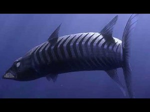 Disney Pixar Finding Nemo sound all Sea Creatures