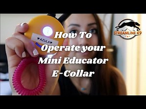 How To Operate Your Mini Educator E-Collar