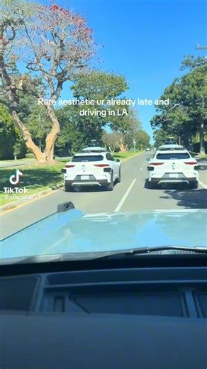 you may not like it but this is what peak speed limit enforcement looks like