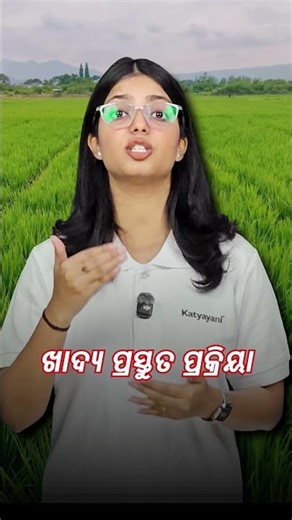 2026ର ସବୁଠୁ ଖତରନାକ କୀଟ! ସାବଧାନ! PADDY STEM BORER CONTROL