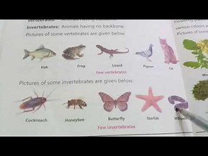 General Science Grade 4 Based on SNC Unit 1 Characteristics and Life Process of Organisms