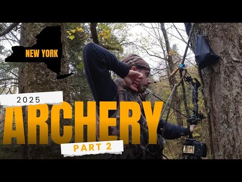 I HAD A TEN YARD SHOT. (tree stand vlogs. part 2)