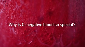 Type O blood is the most critical blood type that supports patients in our local hospitals. Why is type O so special? When a patient receives a blood transfusion, a matching blood type is ideal. Since O is the most common it can be used for many patients. And since type O- is the universal blood type, it can be given to any patient. Do you have type O blood? Book your appointment to save a life today. #BloodworksNW #BloodType #GiveBlood | Bloodworks Northwest