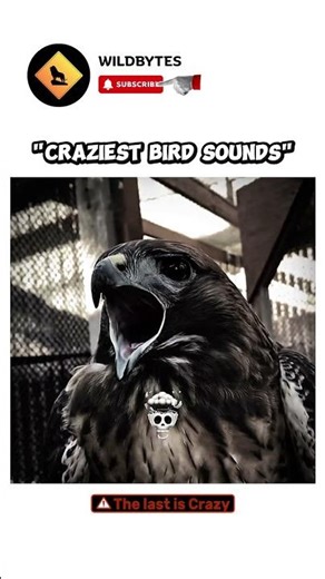 Weirdest Bird Noises Caught on Camera 🎥🔥 #birds #crazysounds #animals