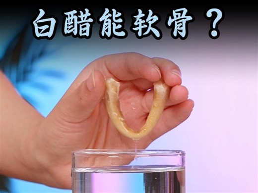 【科学a指南】最新视频上线，求关注！