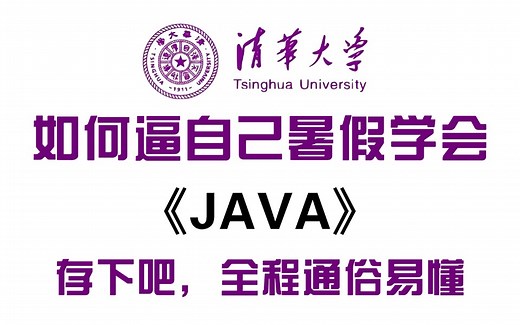 【Java零基础入门】300集Java保姆级教程！从入门到精通，2025最新版，全干货无废话，超详细全套保姆级教程，从零基础到接单赚钱