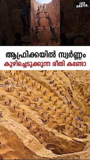 ആഫ്രിക്കയിൽ സ്വർണ്ണം കുഴിച്ചെടുക്കുന്ന രീതി കണ്ടോ 😮👌