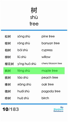 10 trees #chinesevocabulary #chineselanguage #freemandarinchinese #chinesewords #chineselearning